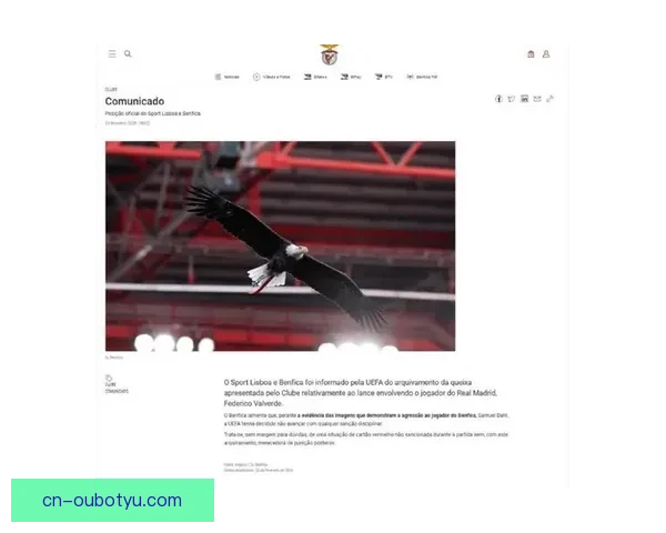 本菲卡投诉欧足联追责巴尔韦德